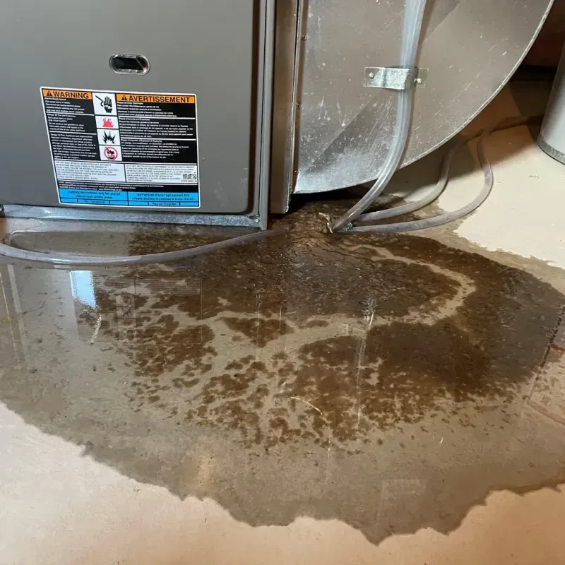 Appliance Leak Cleanup in Hutchinson Island South, FL